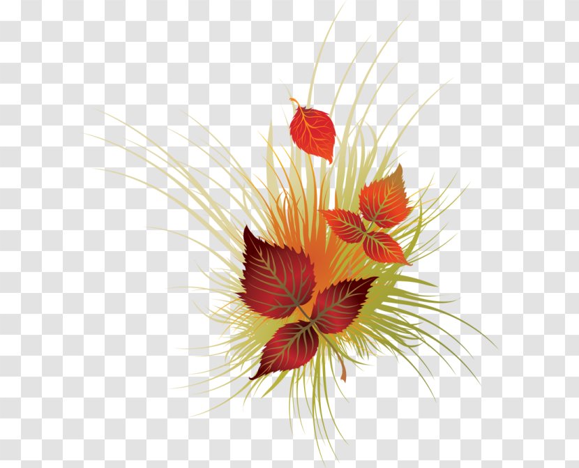 Autumn Leaf Color Clip Art - Flower Arranging Transparent PNG