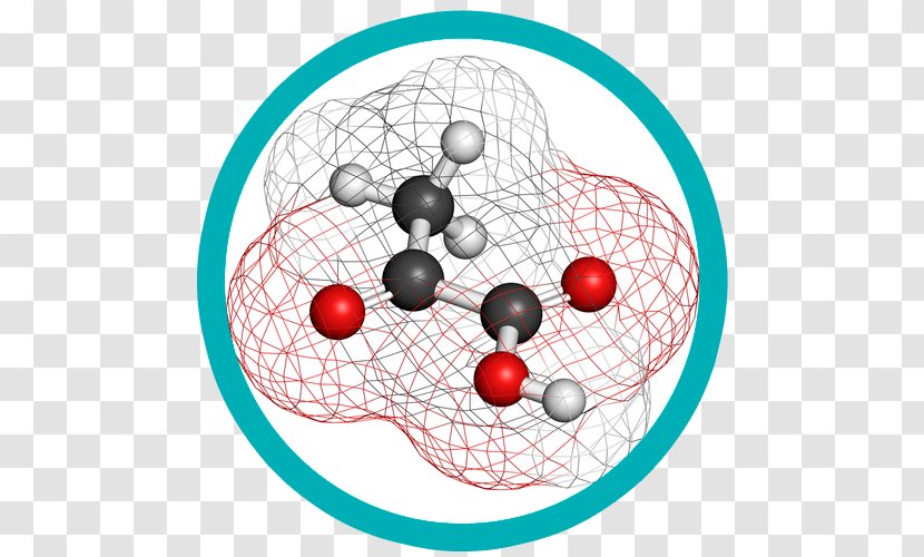 Pyruvic Acid Molecule Atom Biochemistry Acetic - Carbon Transparent PNG