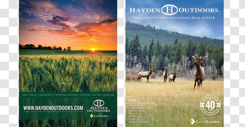 Advertising Stock Photography Desktop Wallpaper Nature Energy - Outdoor Real Estate Transparent PNG