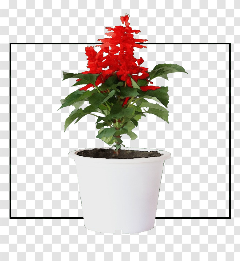 Flower Flowerpot Houseplant Plants Biology Transparent PNG