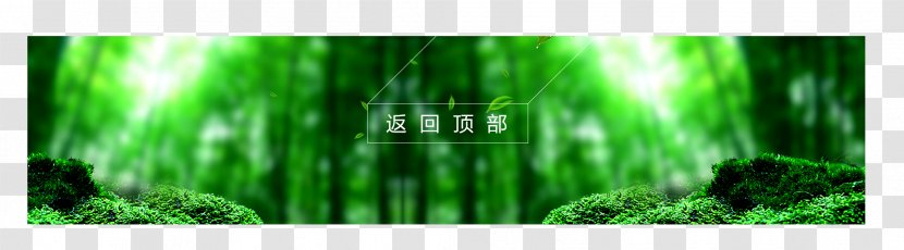 Poster - Green - Back To Home Transparent PNG
