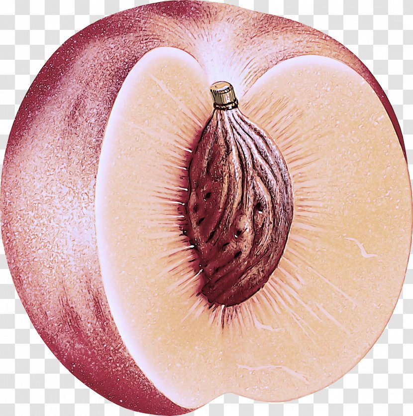 Red Onion Plant Fruit Vegetable - Food Allium Transparent PNG