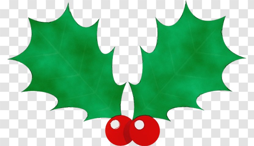 Holly - Plane - Plant Transparent PNG