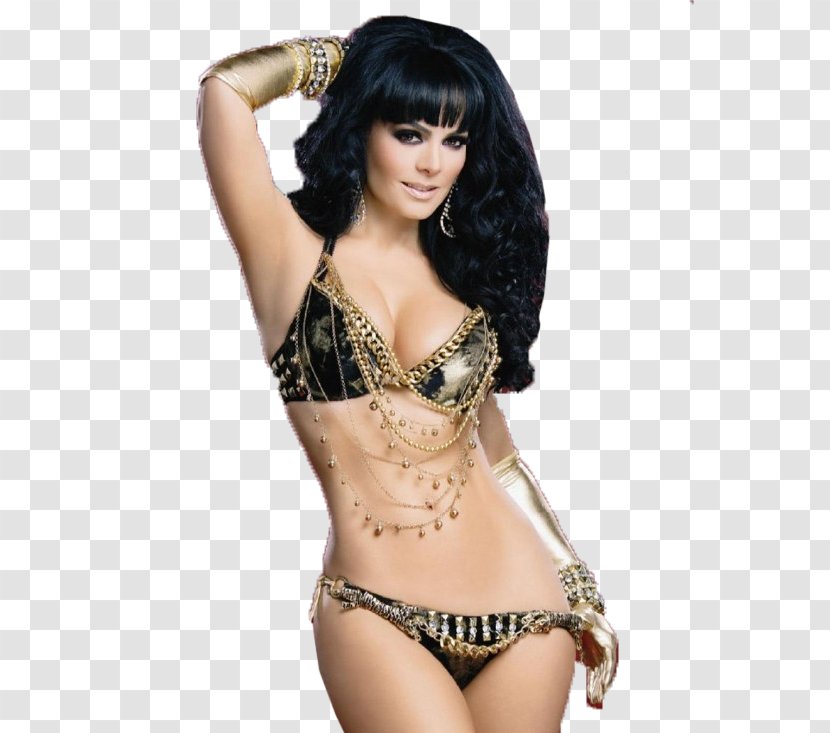 Maribel Guardia Big Brother México Actor Photography - Flower Transparent PNG