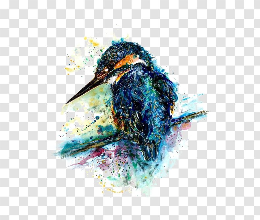 Watercolor Birds - Feather - Art Transparent PNG
