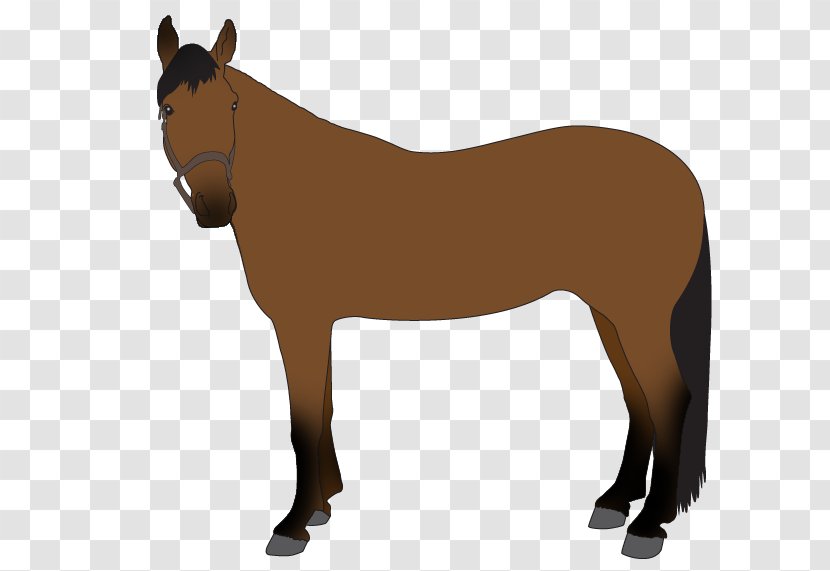 Mule Pony Stallion Mustang Horse Blanket - Pale Horses Transparent PNG