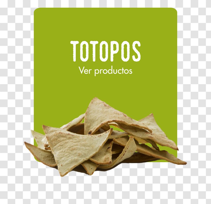Cactaceae Nopal Barbary Fig Spanish Omelette Tortilla Chip - Personal Identification Number - Linaza Transparent PNG