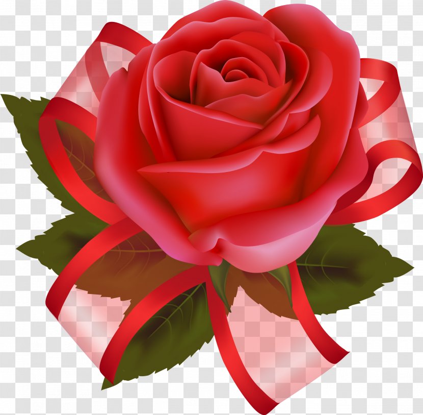 Cut Flowers Garden Roses Clip Art - Peach - Rose Transparent PNG