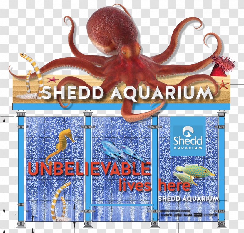 Octopus Shedd Aquarium Advertising Cephalopod - Bus Shelter Transparent PNG
