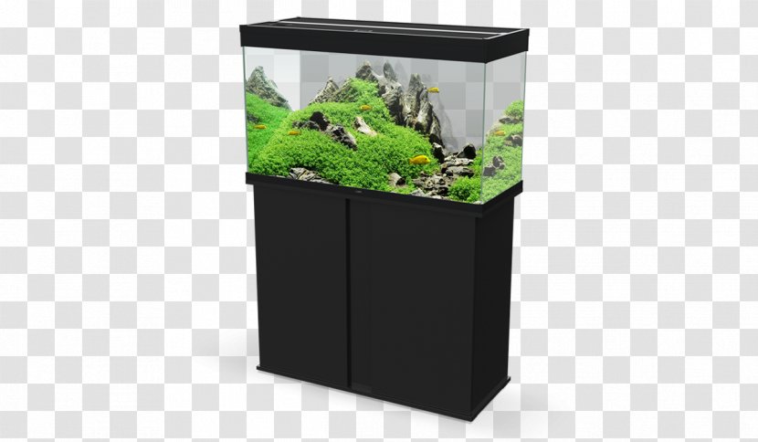 Aquariums Light Fishkeeping Filtro Biologico - White - Plant Transparent PNG