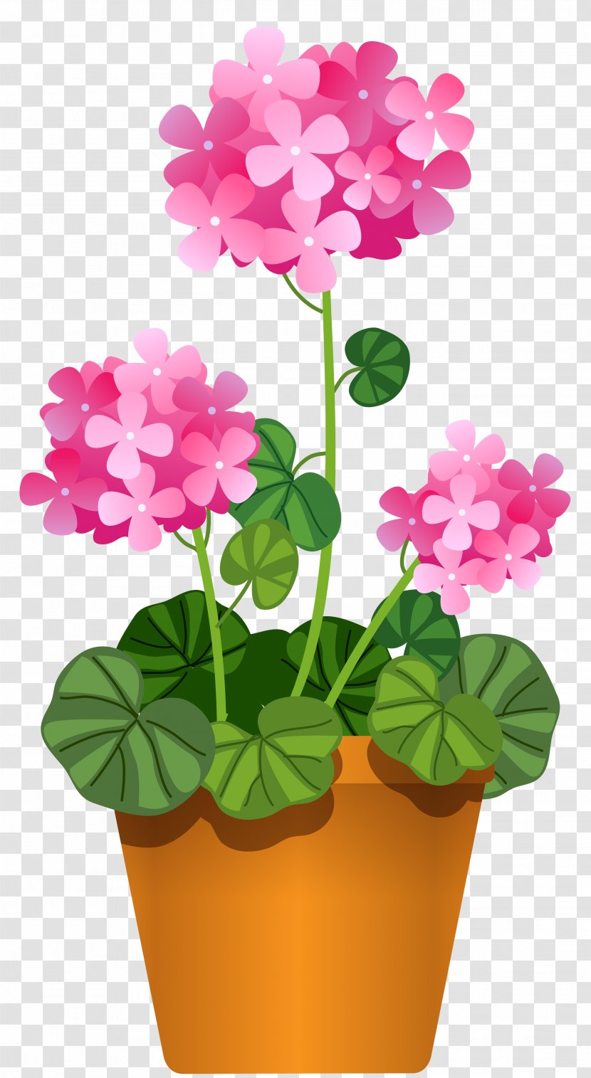 Clip Art: Transportation Vector Graphics Illustration Flowering Pot Plants - Geranium - Flower Transparent PNG