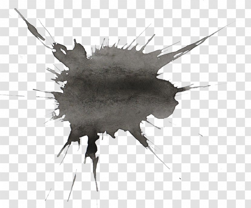 Watercolor Painting Ink - Black And White - Splatter Transparent PNG