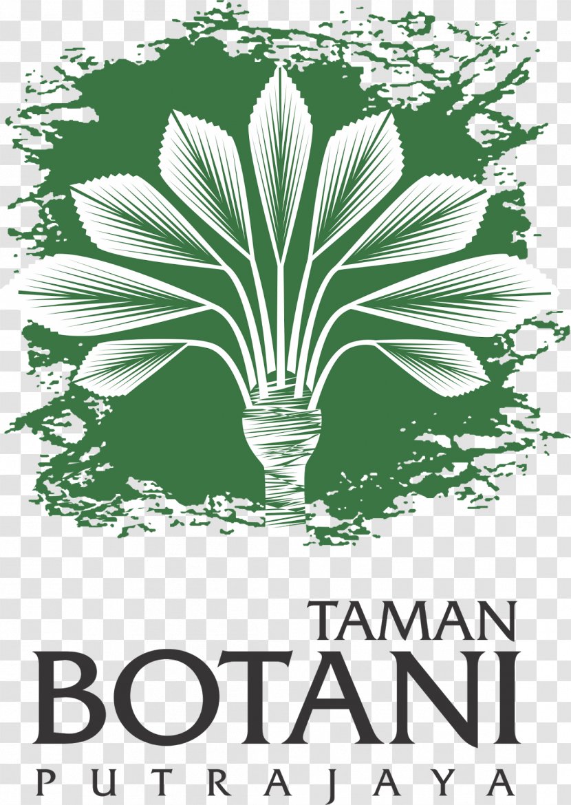 Putrajaya Botanical Garden Botany Park - Arecales Transparent PNG