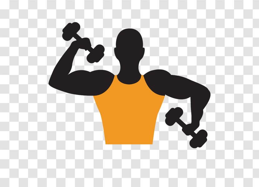 Dumbbell Bodybuilding Olympic Weightlifting - Cartoon Material Transparent PNG