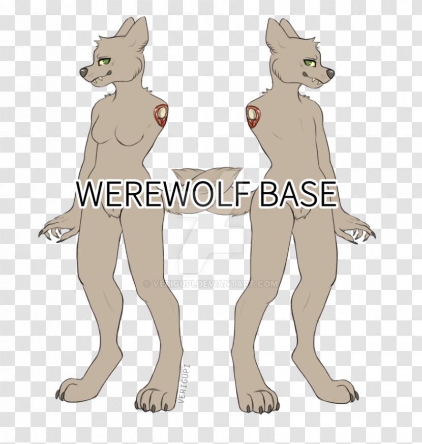 Cat Dog Werewolf Drawing Base - Fictional Character Transparent PNG
