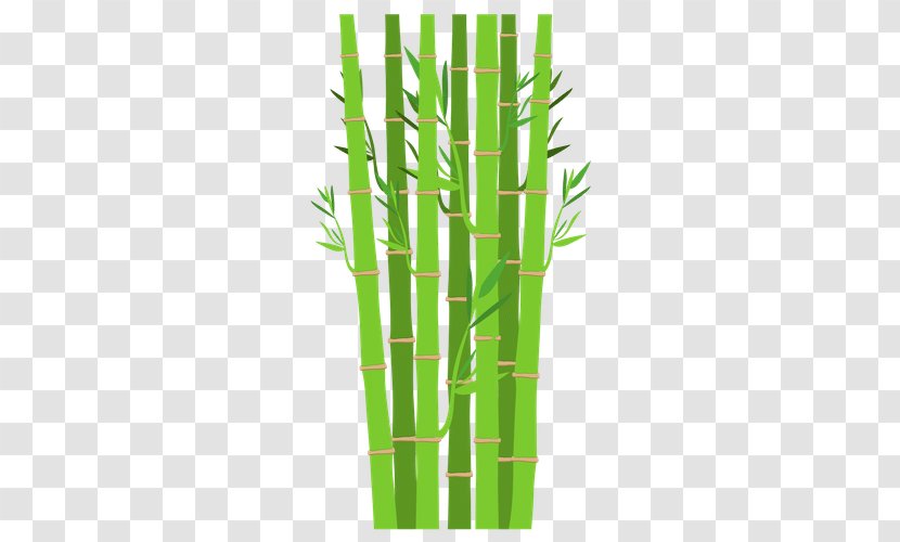 Plant - Tropical Woody Bamboos - Design Transparent PNG