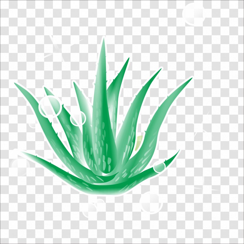 Aloe Plant Green - Resource Transparent PNG