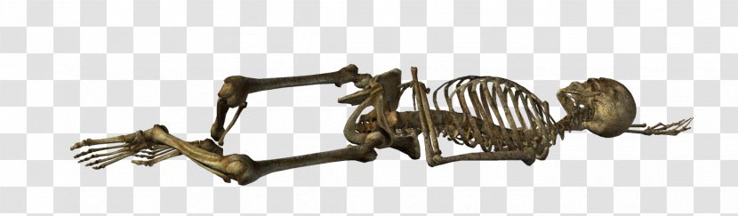 Gothic Architecture Art Skeleton Skull - Arch Transparent PNG