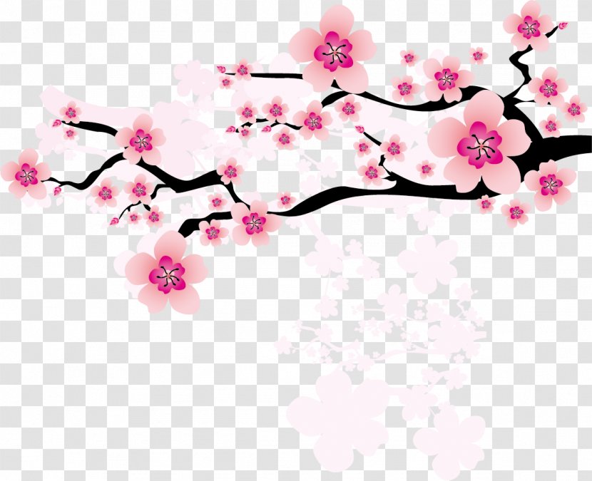National Flower Of The Republic China Plum Blossom Clip Art - Plant - Pink Snow Vector Material Transparent PNG