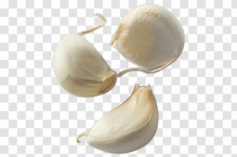 Garlic Bread Clove Condiment Onion Transparent PNG