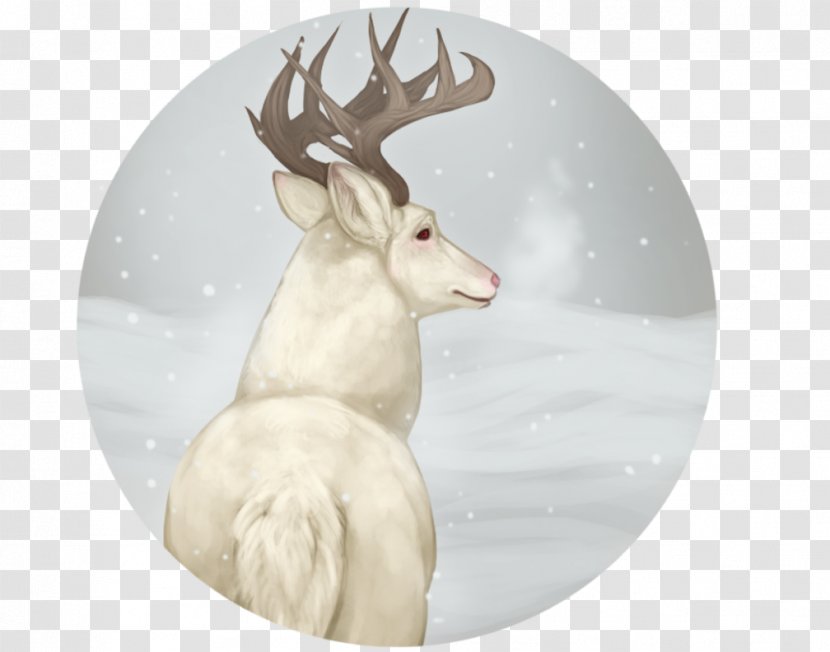 Reindeer Antler Mammal Animal - White Rabbit Transparent PNG