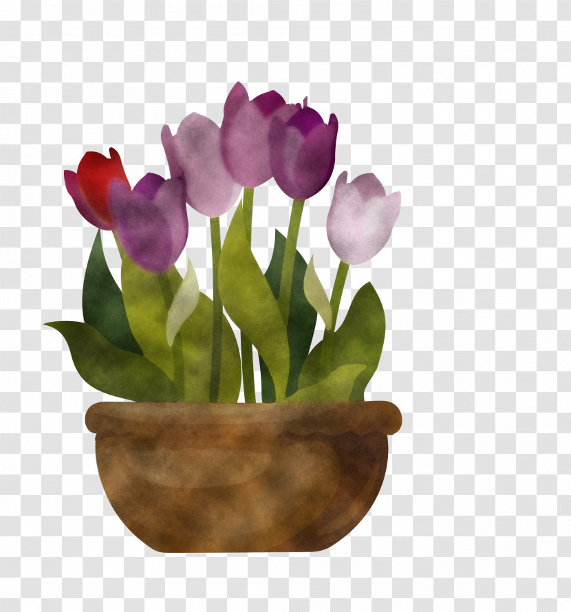 Flower Tulip Flowerpot Violet Purple Transparent PNG