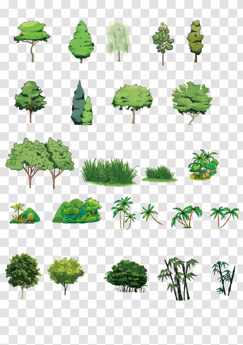 Download Tree Computer File - Illustration - Hand-painted Plants Transparent PNG