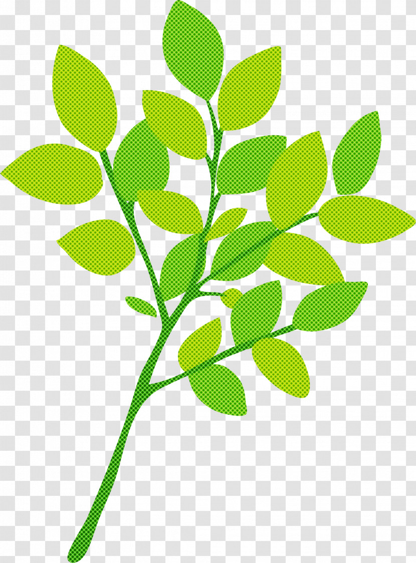 Branch Leaf Plant Stem Twig Oak Transparent PNG