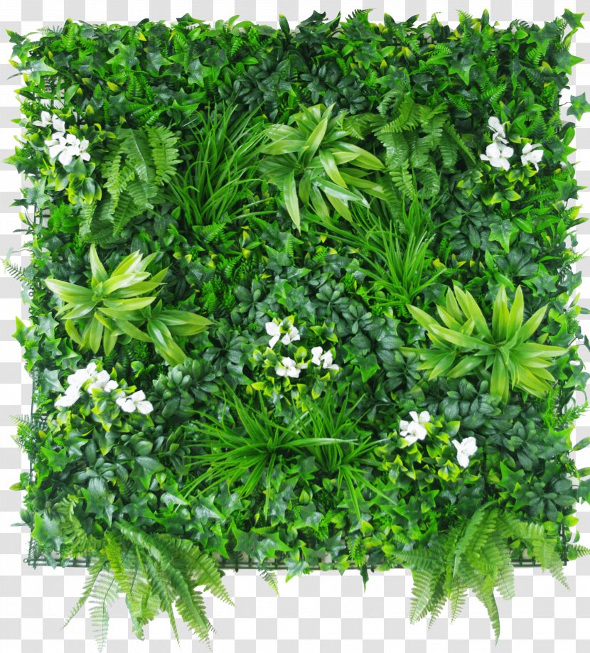 Green Wall Designer Vertical Gardens Hedge - Garden Club - Summer Nights Busch Transparent PNG