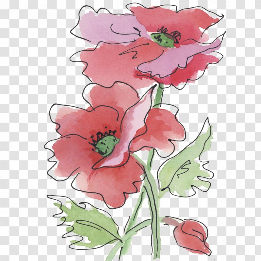 Floral Design Cut Flowers Plant Stem - Poppy Transparent PNG