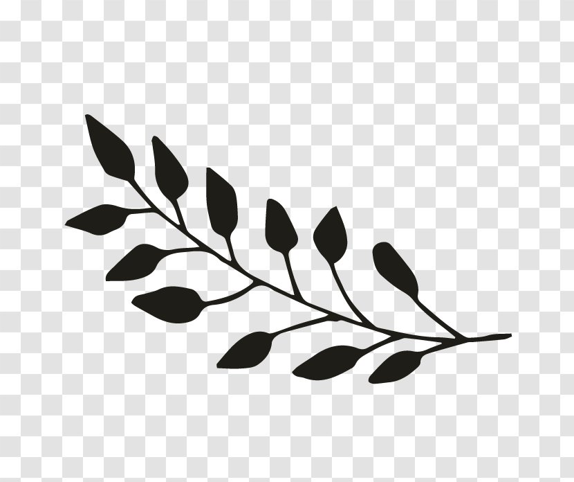 Black And White Monochrome Photography Twig - Youtube - Succulent Border Transparent PNG