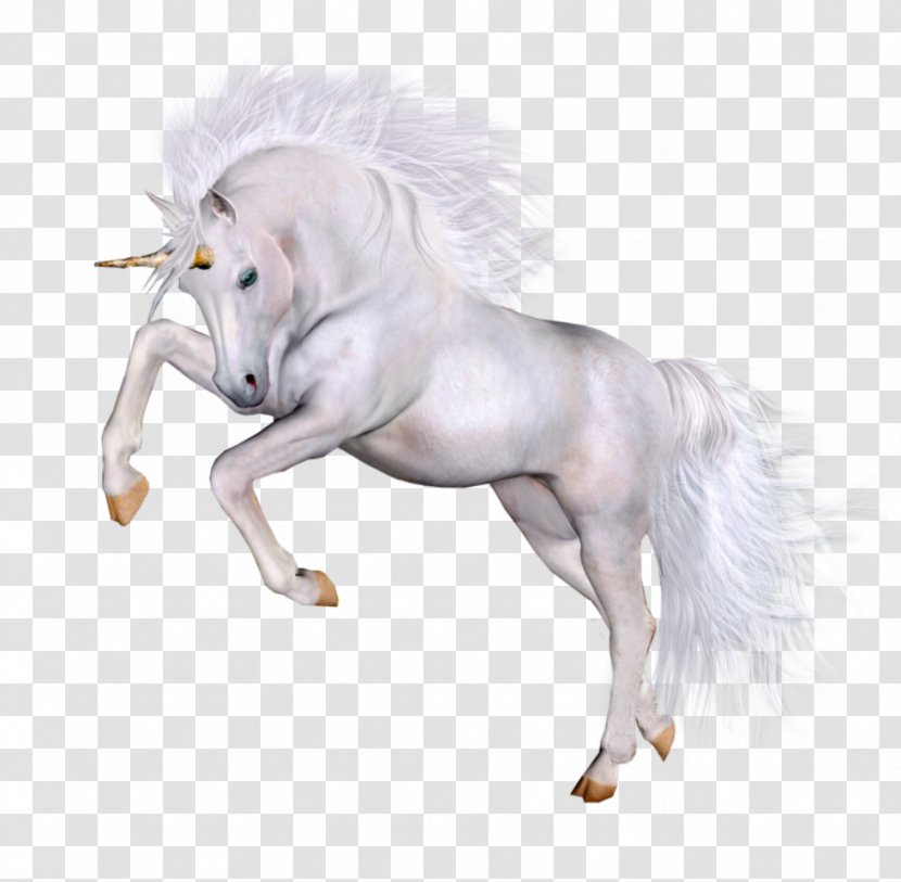 Horse Unicorn - Unicorns Transparent PNG