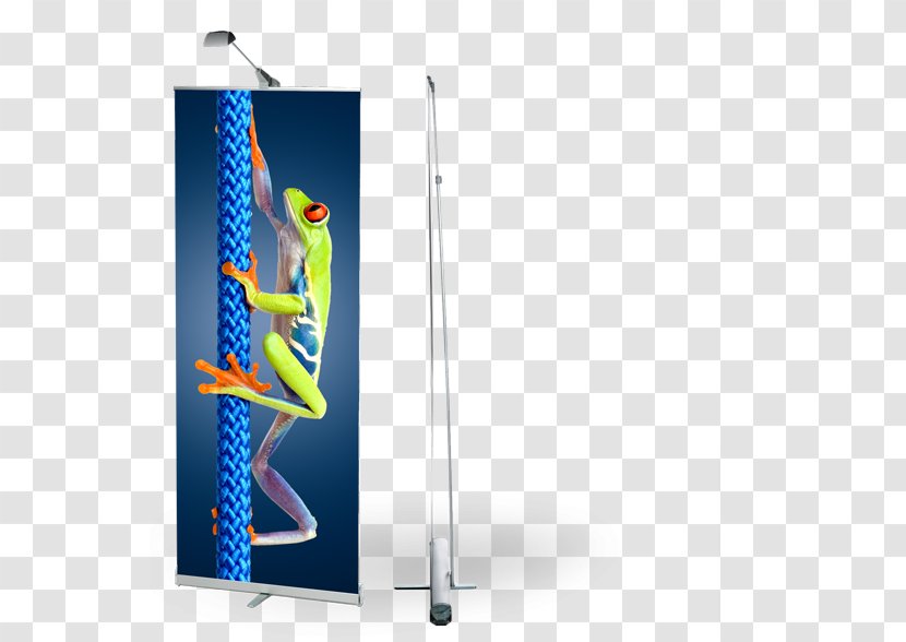 Banner - Advertising - Rollup Transparent PNG