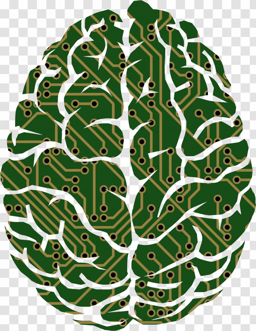 Brain Neuroscience Artificial Intelligence - Plant - Decorative Patterns Transparent PNG