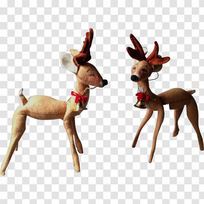 Reindeer White-tailed Deer Antler Animal Transparent PNG