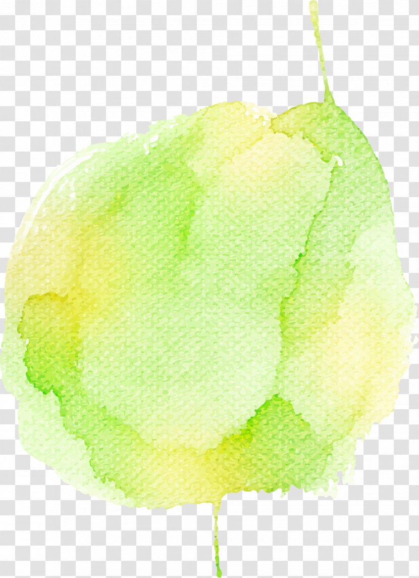 Watercolor Painting Graffiti - Lime - Hand Painted Colorful Circle Transparent PNG