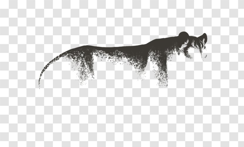 Big Cat Dog Canidae Puma - Like Mammal Transparent PNG