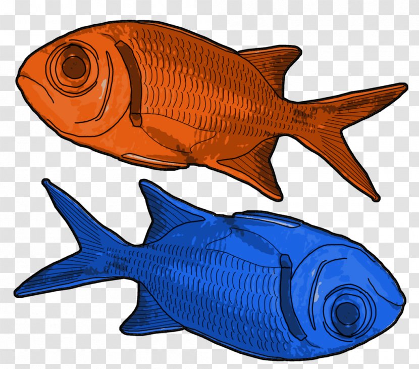 Northern Red Snapper Marine Biology Mammal Fauna Clip Art - Orange Fish Transparent PNG