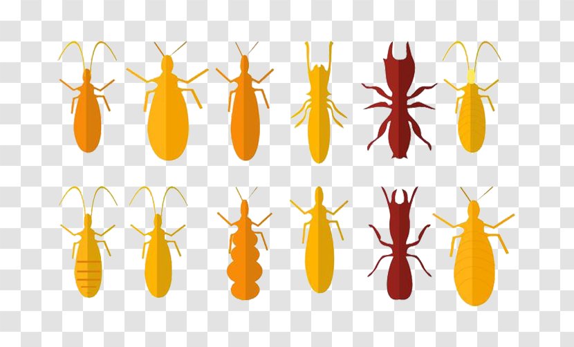 Insect Cricket - Orange - Yellow Mantis Transparent PNG