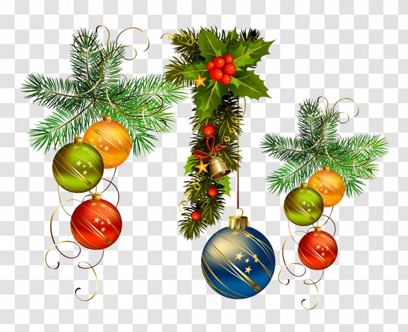 Christmas Ornament Decoration Tree - Pine Family - Ball Transparent PNG