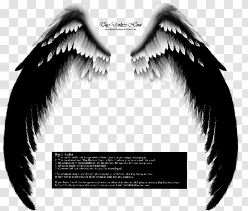 Devil Angel Drawing Demon - Eyelash Transparent PNG