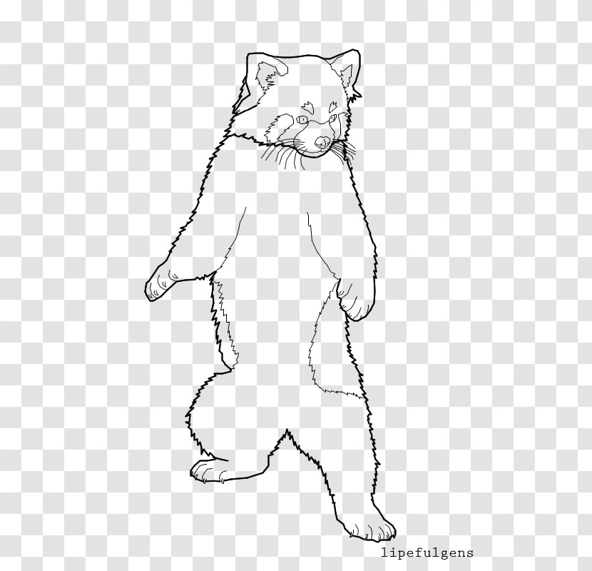 Whiskers Cat /m/02csf Line Art Bear - Organism - Red Panda Transparent PNG