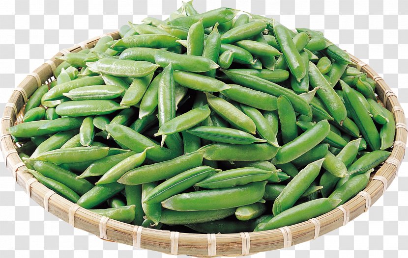 Common Bean Pea Lima Vegetarian Cuisine Vegetable - Legume - Beans Transparent PNG