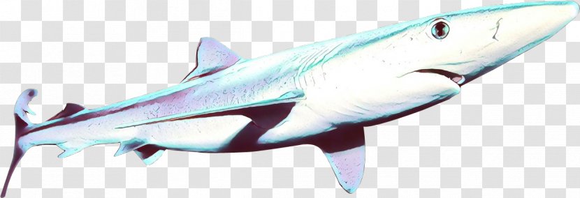 Shark - Cartoon - Lamniformes Cartilaginous Fish Transparent PNG