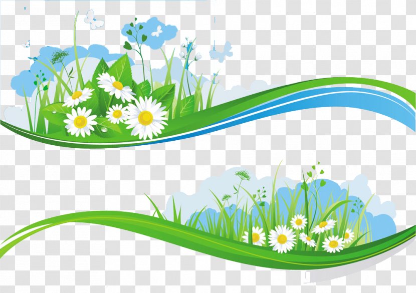 Banner Sky Flower Illustration - Water - Small Green Daisy Box Transparent PNG