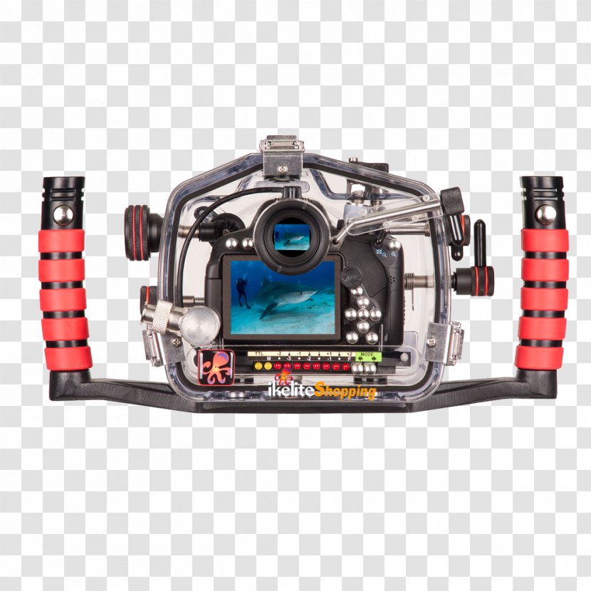 Canon EOS 6D 750D 7D Mark II Underwater Photography - Eos 7d Ii - 700D Transparent PNG