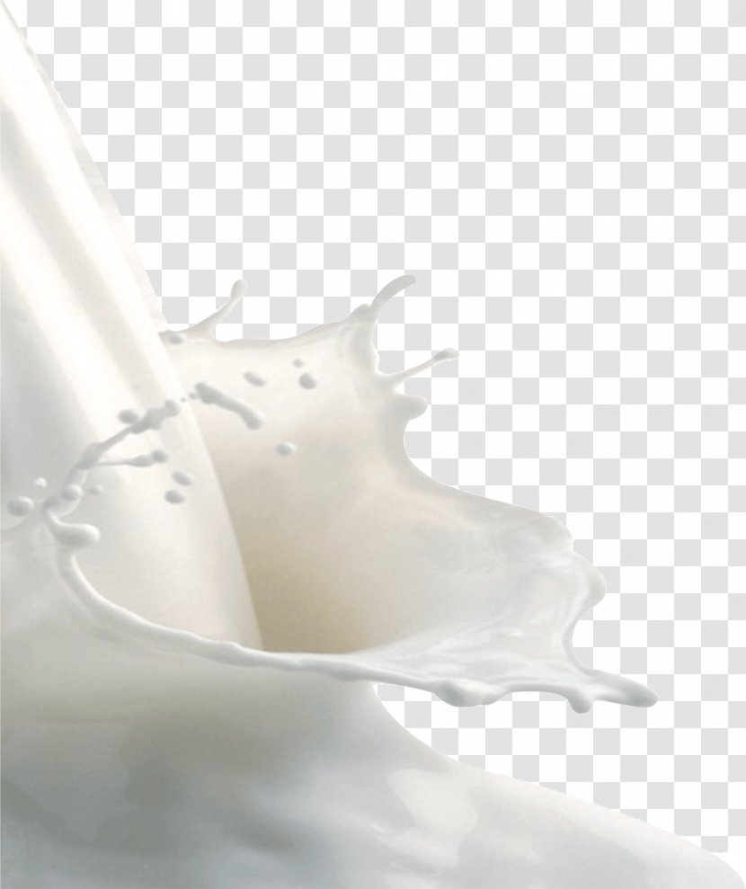 Goat Milk Soured Hydrolyzed Protein - Dairy - Splashes Transparent PNG