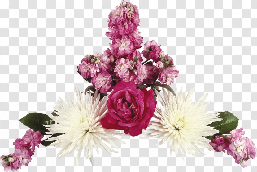 Flower Moutan Peony Clip Art - Garden Roses - Chrysanthemum Transparent PNG