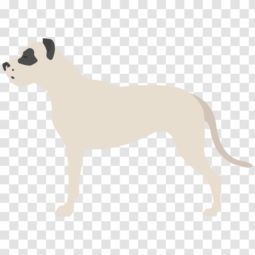 Great Dane Italian Greyhound Whippet Puppy Dog Breed - Cat - Dogo Argentino Transparent PNG