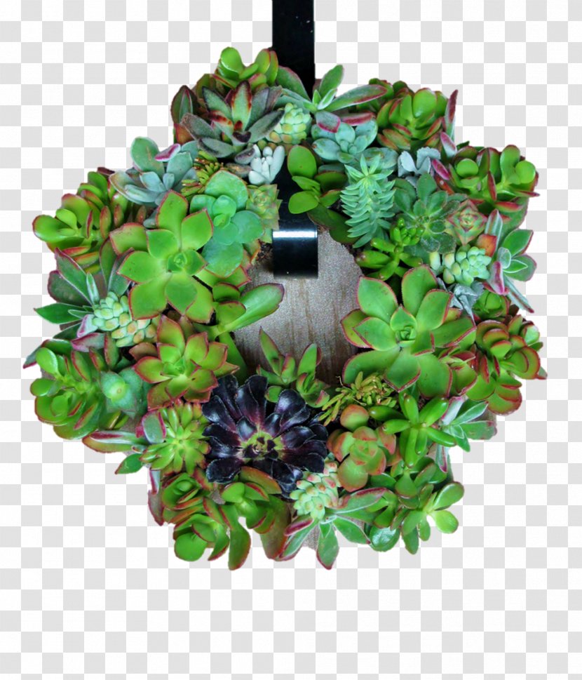 Wreath Flowerpot - Suculent Transparent PNG